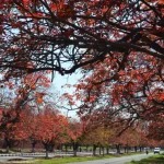 Best wedding planners in Chandigarh