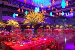 Event planners in Jaipur
