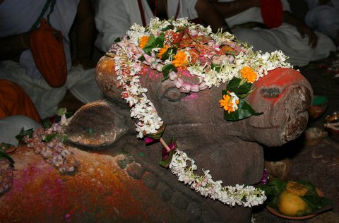 nandi pooja